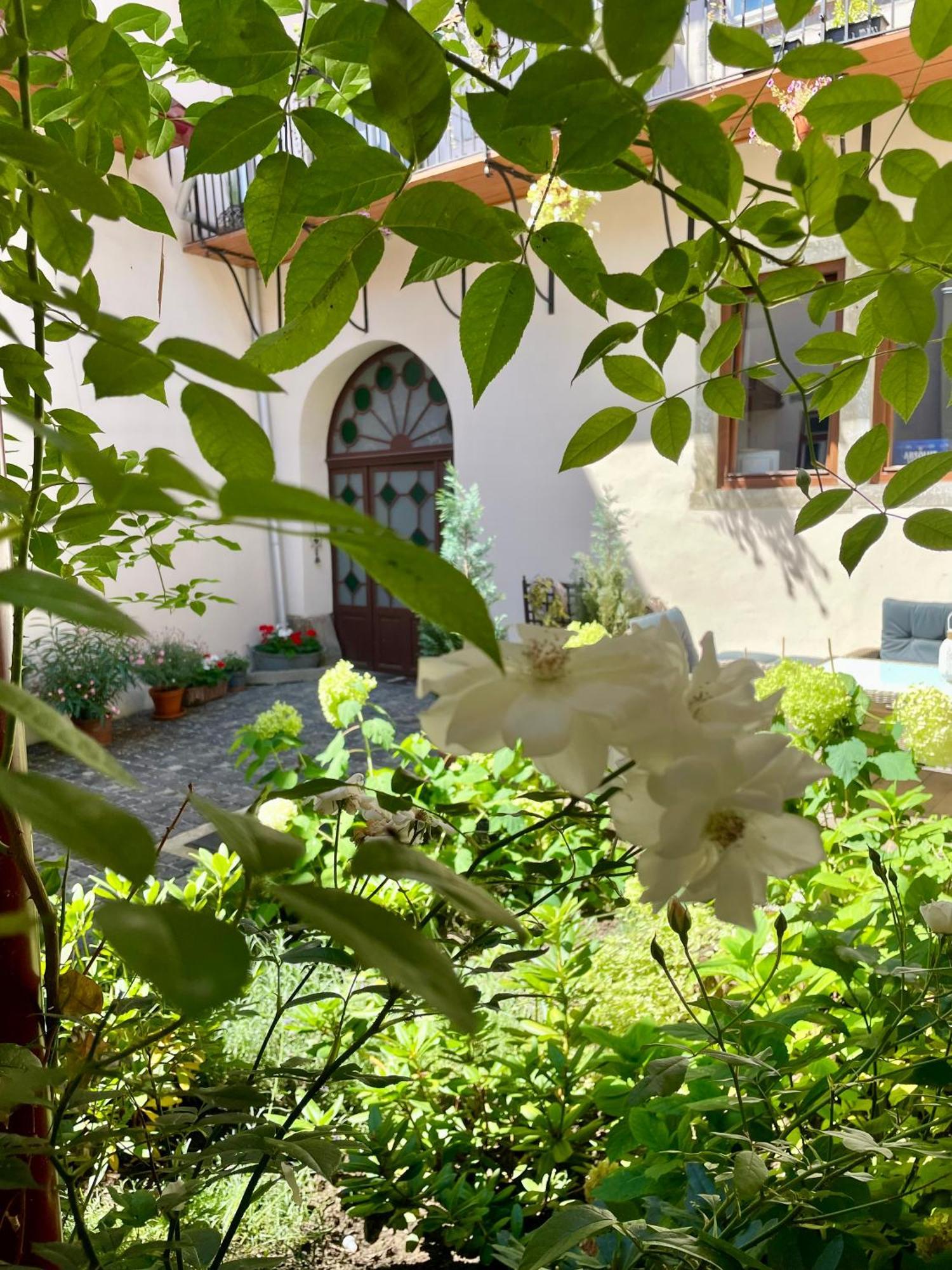 Historical Zaffir House - Market Square 勒沃卡 外观 照片